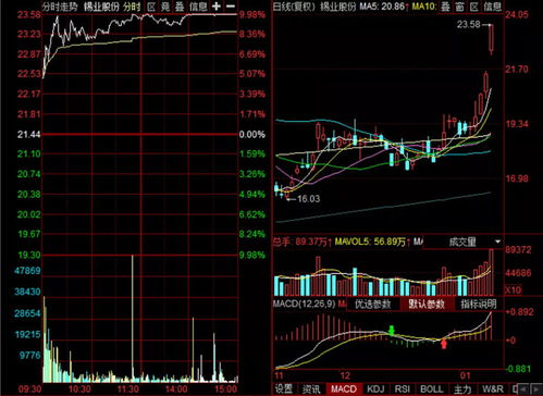報(bào)復(fù)性反彈出現(xiàn)