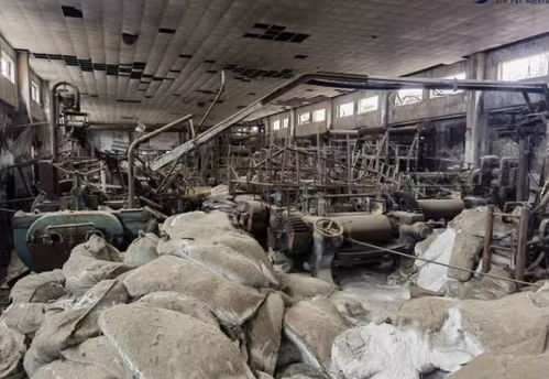 天津42年輪胎廠轟然倒下